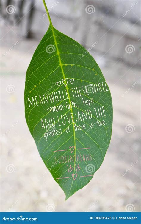 Green Leaf With Bible Verse Stock Photo Image Of Food Tree 188296476