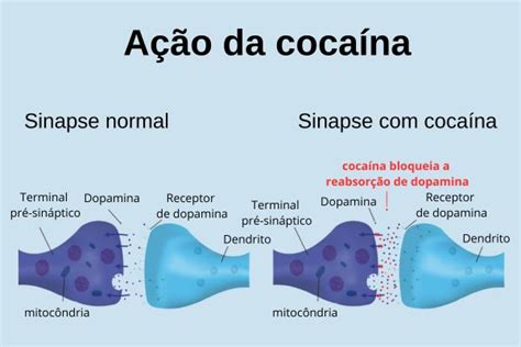 Coca Na O Que Resumo Efeitos Riscos Depend Ncia