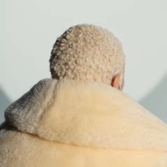 Pussy Talk Feat Doja Cat City Girls Song Lyrics Music Videos Concerts