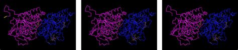 Tubulin Post Translational Modifications