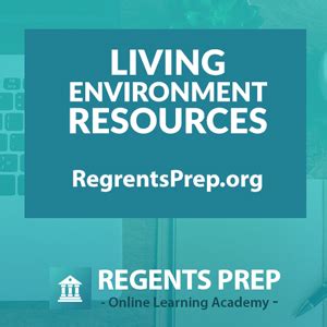 The Living Environment Regent Review Prep Cheat Sheet Ecology Riset