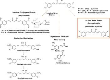 Review Bioavailability And Efficacy Of Free Curcuminoids From