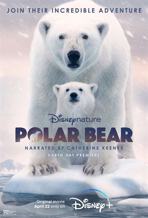 “Polar Bear” Premieres On Disney+ This Earth Day, April 22 | Disney ...