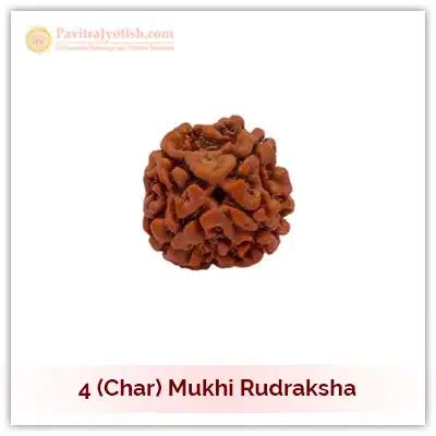 Buy 4 Mukhi Rudraksha at Nominal Price | 4 (Char) Faced Rudraksha