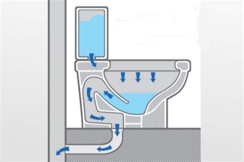 S Bend Toilets Uk Informacionpublicasvetgobgt