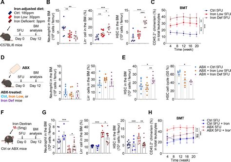 The Microbiota Regulates Hematopoietic Stem Cell Fate Decisions By