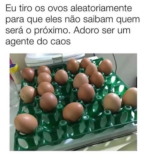 Eu Tiro Os Ovos Aleatoriamente Para Que Eles N O Saibam Quem Ser O