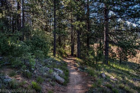 Big Laguna/PCT Loop - Hiking San Diego County