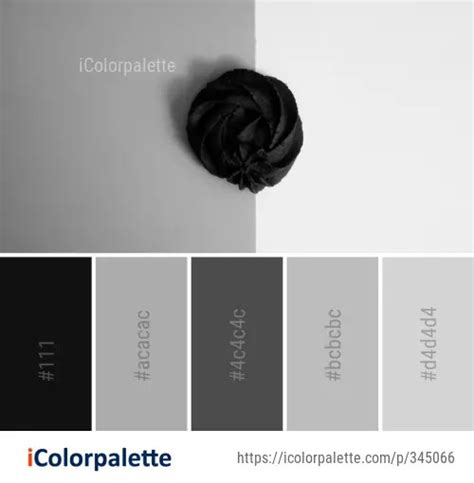 407 Monochrome Color Palette ideas in 2024 | iColorpalette