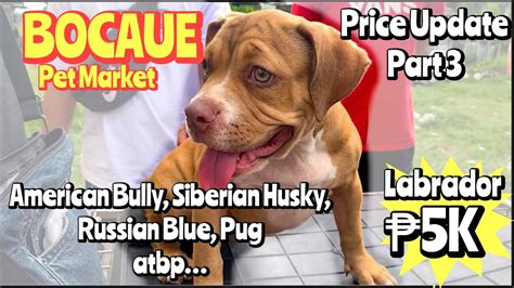 Bocaue Pet Market Part December Price Update Bocaue