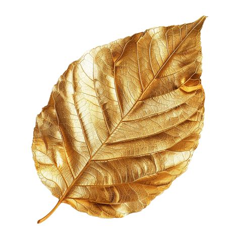 Golden Leaf Isolated On A Transparent Background 47597376 Png