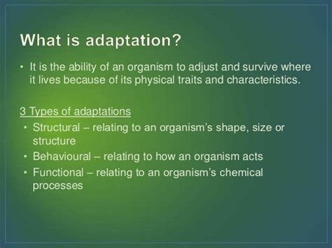 Adaptation by: Sarah