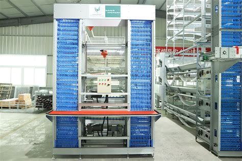 H Type Chicken Battery Cage System For Poultry Farm