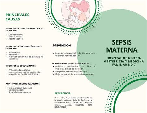 Sepsis Materna Ivan Salas Gaeta Udocz