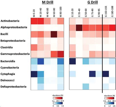 Bacterial Dna Diversity Heat Maps Showing The Relative Abundance Download Scientific Diagram