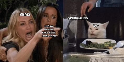 Hurts right in the meow meow. : r/Philippines