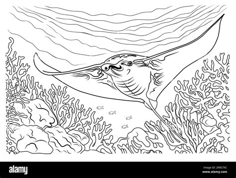 Deep Sea Manta Ray Coloring Page Cartoon Stingray Linear Illustration