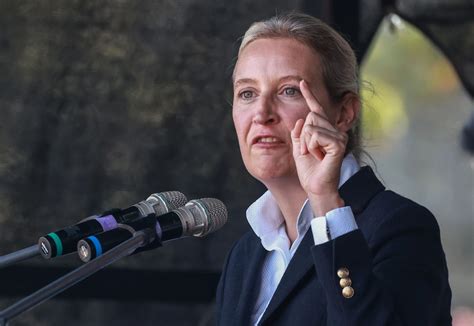 Weidel Beleidigt Annalena Baerbock Und Sorgt F R Eklat Im Zdf Nau Ch