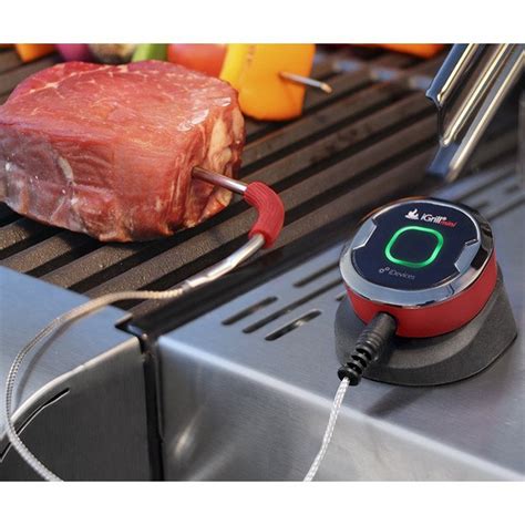 Weber iGrill mini — Brycus
