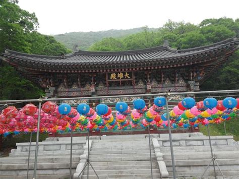 What To Do And See In Gunpo Gyeonggi Do The Best Things To Do