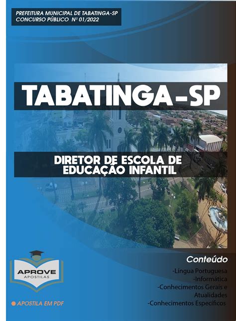 APOSTILA TABATINGA DIRETOR DE ESCOLA DE EDUCAÇÃO INFANTIL Aprove