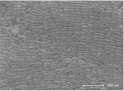 Controllable Preparation Method Of Three Dimensional Nano Plasmon