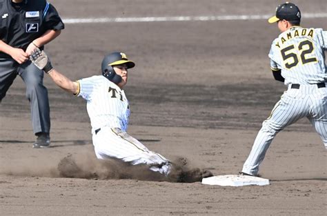 阪神・佐藤輝が紅白戦で先頭弾含む2安打 育成2位・福島が打って走って猛アピール阪神タイガースデイリースポーツ Online