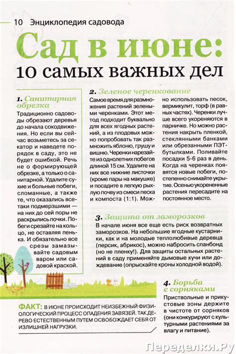 Садовод и огородник № 10 май 2020 * Переделки.Ру