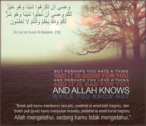 Surah Al Baqarah Ayat 216 Alexandra Hemmings