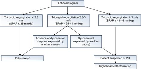 Algorithm For Pah Screening In Ssc Spap Systolic Pulmonary Artery Download Scientific Diagram