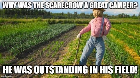 Scarecrow In Field Imgflip