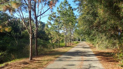 Peace River Trail Paynes Creek State Park Florida Hikes