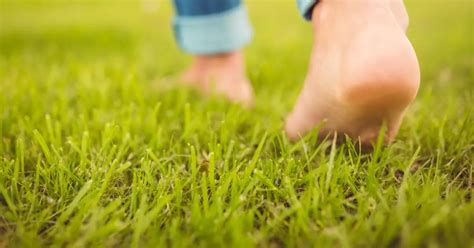 Remarkable Health Benefits Of Walking Barefoot On Grass Atonibai