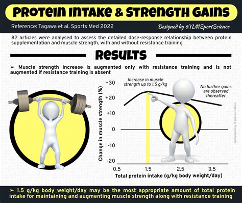 Protein Requirements