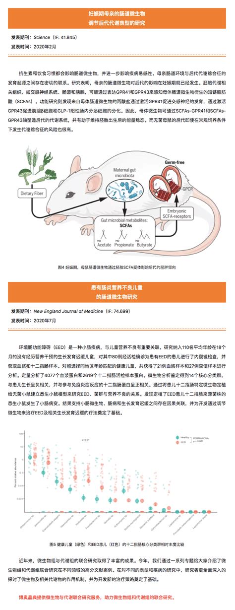 微生物组与代谢组联合研究 母婴健康相关的研究和应用专题 自主发布 资讯 生物在线