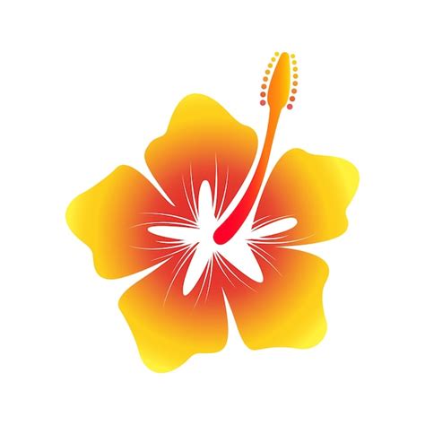 Premium Vector Hawaiian Yellow Hibiscus Flower Illustration