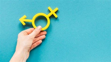 Pengertian Gender Serta Kesetaraan Dan Ketidakadilan Gender