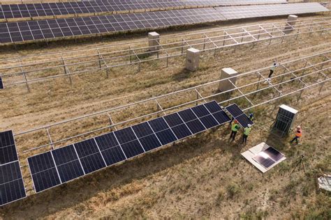 Energía solar en Granada Construyen un innovador parque agrovoltaico