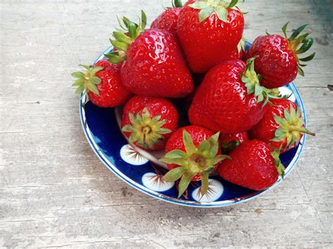 Fotos Gratis Fresa Fresas Alimentos Naturales Baya Planta