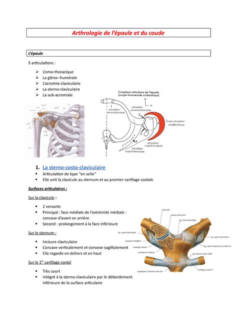 Arthrologie De L Paule Et Du Coude Arthrologie De L Paule Et Du