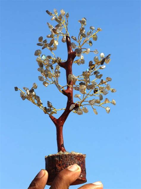 Fiery Labradorit Edelsteine Golden Zweige Bonsai Money Tree