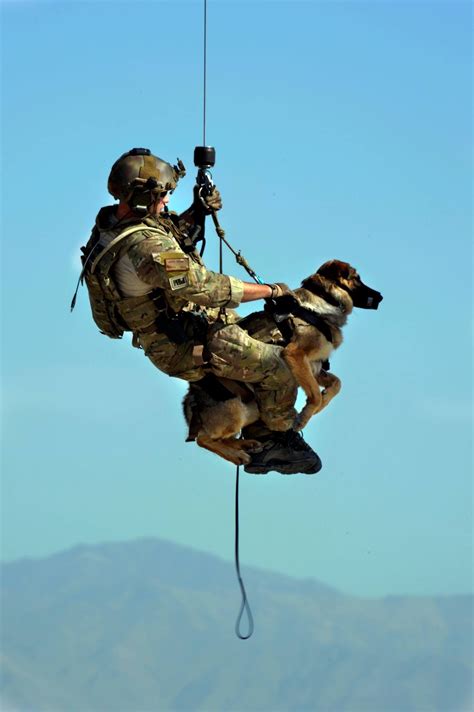 So Cool 👍 Military Dogs War Dogs Military Service Dogs