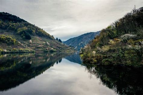 La Naturaleza Del Río Miño Guía Repsol Guía Repsol