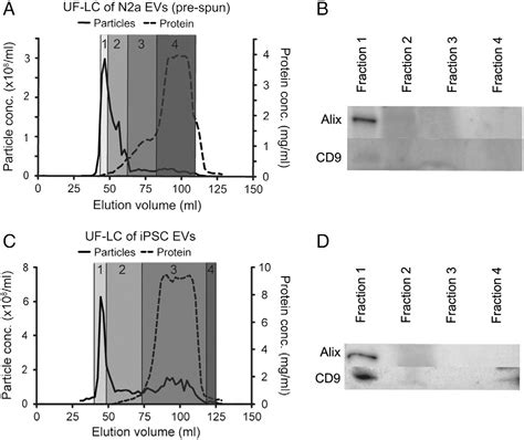 Figure 2 From Ultrafiltration With Size Exclusion Liquid Chromatography