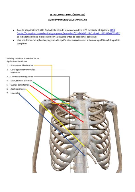 Mafer Romani Me Ey F Tarea Sem Estructura Y Funcin