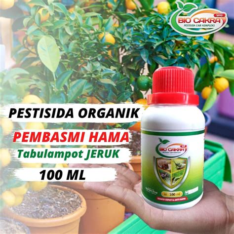 Jual Pestisida Organik Tanaman Tabulampot Jeruk Manis Pupuk Pembasmi