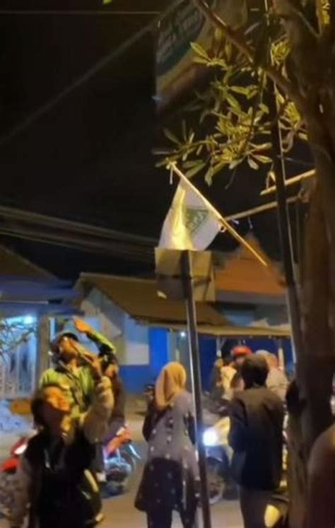 Heboh Pohon Tabebuya Menangis Di Malang Ramai Sampai Dikerubungi Orang