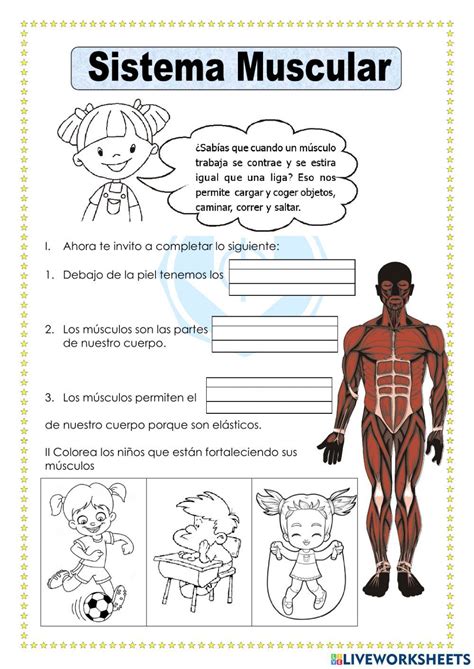 Ejercicio Interactivo De Sistema Locomotor Hot Sex Picture