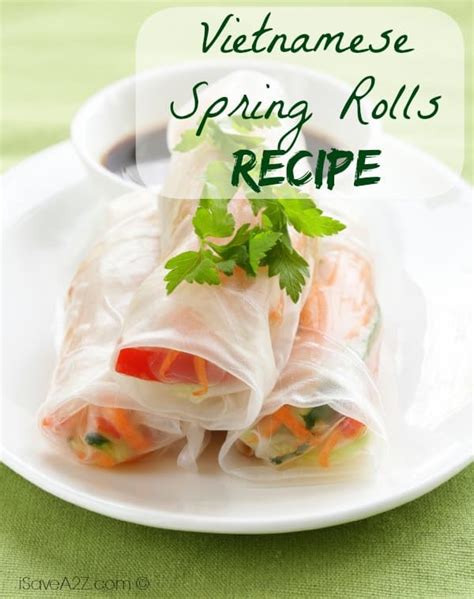 Vietnamese Spring Rolls - iSaveA2Z.com