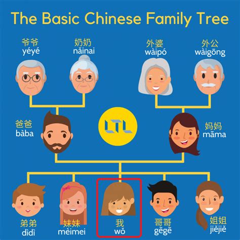 Family Members in Chinese Diagram | Quizlet